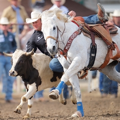 Flying U Rodeo In the News