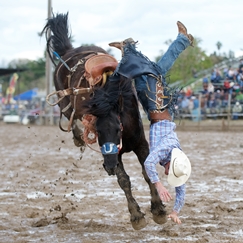 Flying U Rodeo In the News